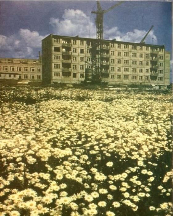 Конец 1970 начало 1980 Ромашковые поля на Барышникова