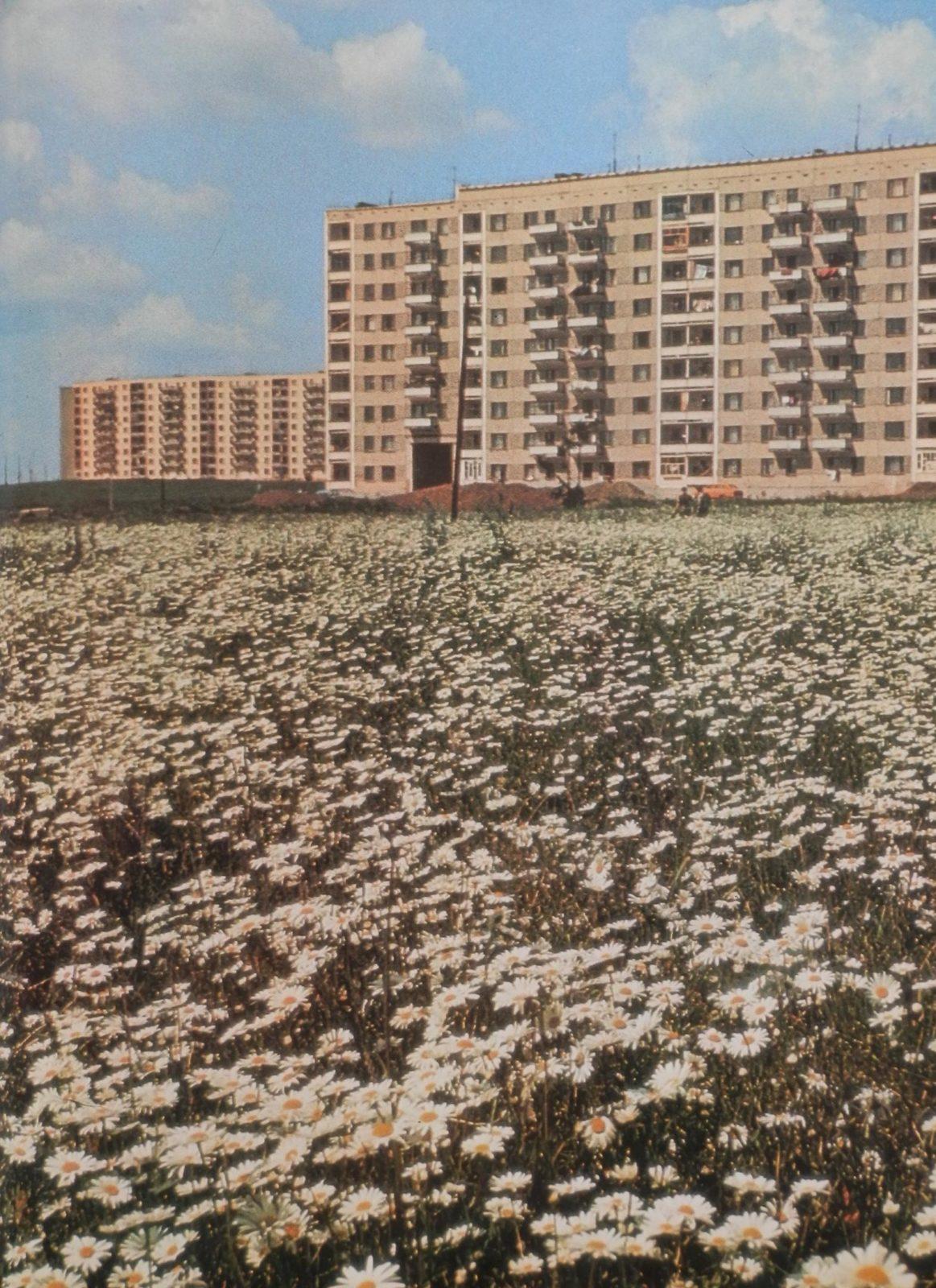 konecz 1970 h nachalo 1980 h. romashkovye polya na ul.baryshnikova ppsiz.ru