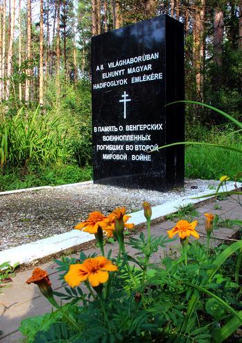 pamyatnik vengerskim voennoplennym v leninskom rajone ppsiz.ru